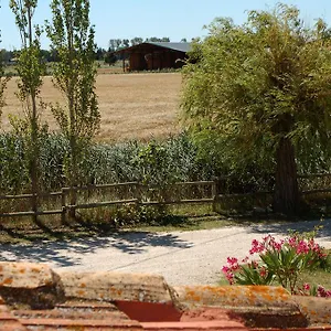 Des Plaines - Arlés