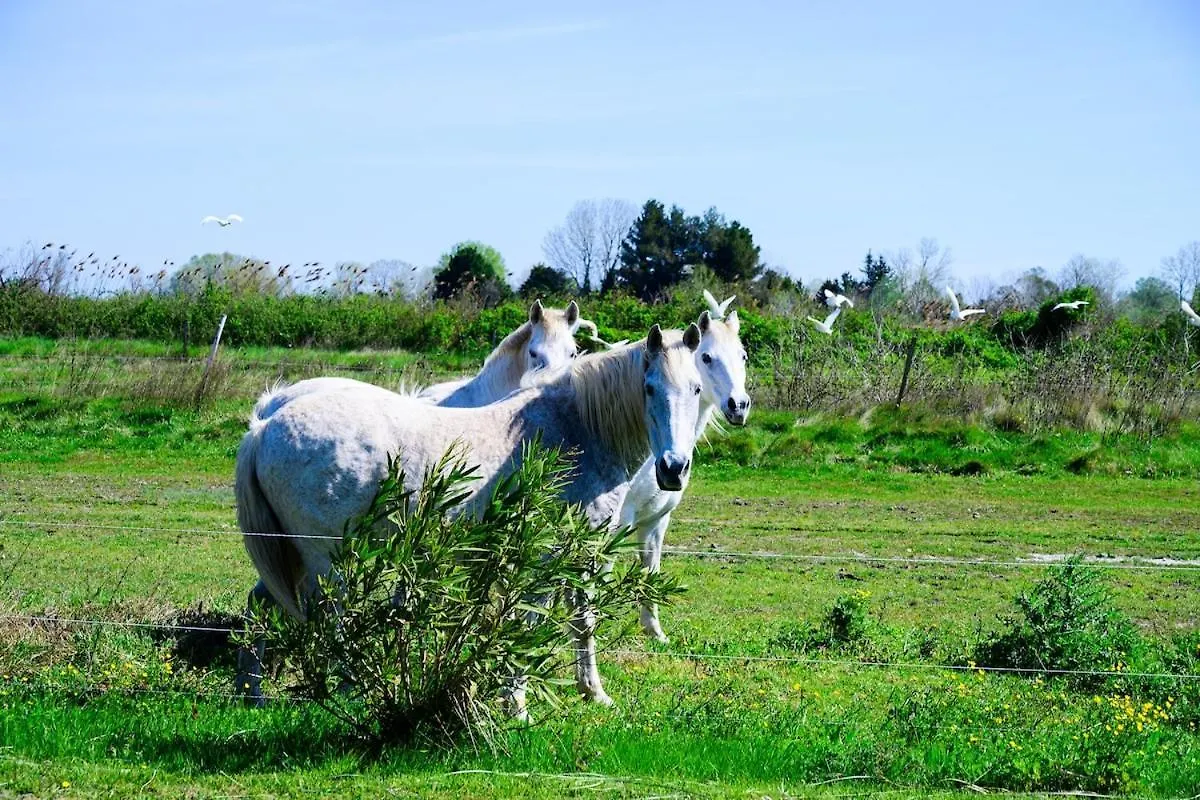 Un Cabanon En Camargue Villa Arles France