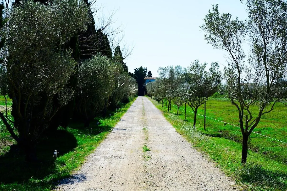 Holiday home Un Cabanon En Camargue Villa Arles France